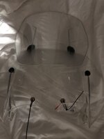 IMG_7919.jpeg