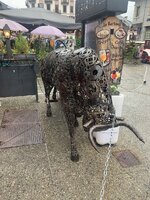 IMG_3683.jpeg IMG_3683.jpeg