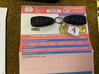 IMG_4465.jpeg