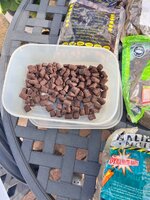 IMG_5565.jpeg