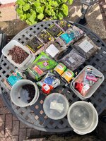 IMG_5567.jpeg