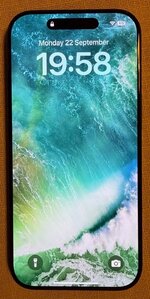 IMG_0952.jpeg