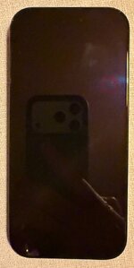 IMG_0951.jpeg