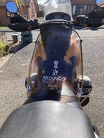 IMG_8141.jpeg IMG_8141.jpeg
