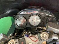 IMG_8153.jpeg IMG_8153.jpeg