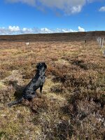 IMG_0657.jpeg