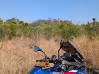 PXL_20250926_060716995.MP.jpg
