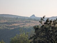 PXL_20250926_044954503.jpg