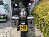 IMG_8133.jpeg