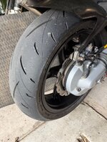 IMG_6579.jpeg IMG_6579.jpeg