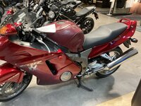 IMG_8169.jpeg
