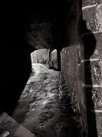 IMG_3106.jpeg