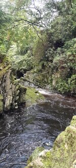 20250928_094941.jpg