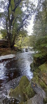 20250928_090102.jpg