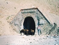 Tunnel du Parpaillon horses.jpg Tunnel du Parpaillon horses.jpg