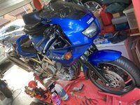 IMG_8148.jpeg