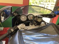 IMG_8145.jpeg