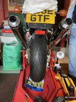 IMG_8151.jpeg