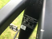 IMG_8105.jpeg