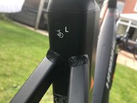 IMG_8106.jpeg