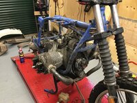 IMG_8668.jpeg