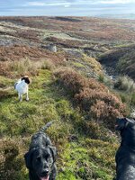 IMG_0675.jpeg