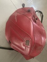 IMG_4696.jpeg