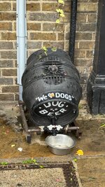 IMG_5573.jpeg