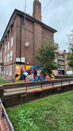 IMG_5597.jpeg