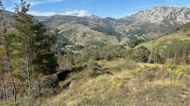 IMG_2856.jpeg