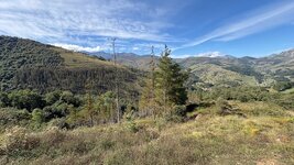 IMG_2858.jpeg