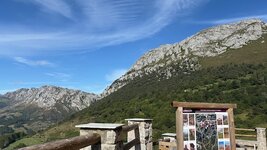 IMG_2863.jpeg