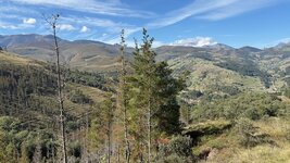 IMG_2864.jpeg