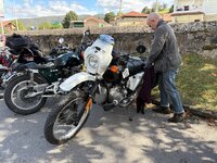 IMG_2875.jpeg