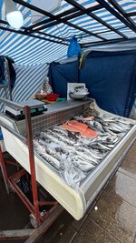 IMG_5606.jpeg