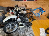 IMG_3490.jpeg