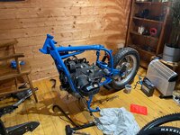 IMG_3491.jpeg