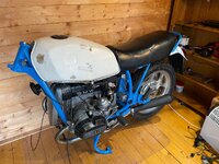 IMG_3497.jpeg