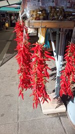 IMG_20250912_101201_665.jpg