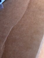 IMG_2036.jpeg