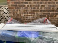 IMG_1274.jpeg