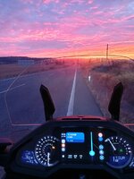 IMG_20251004_074921_Original.jpeg