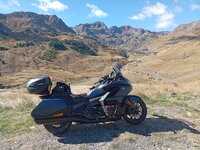 IMG_20251004_120025_Original.jpeg