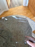 IMG_2067.jpeg