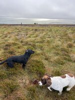 IMG_0701.jpeg