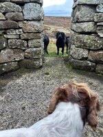 IMG_0704.jpeg