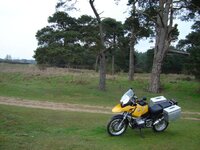 DSC00725.jpg