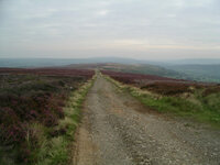 view1.jpg