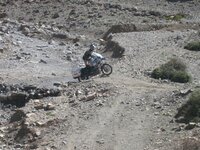 ian up (Small).jpg