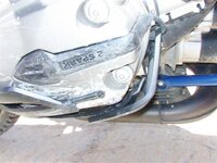 head (Small).JPG